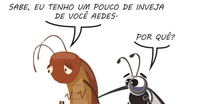 Mosquitaria: um pouco de inveja