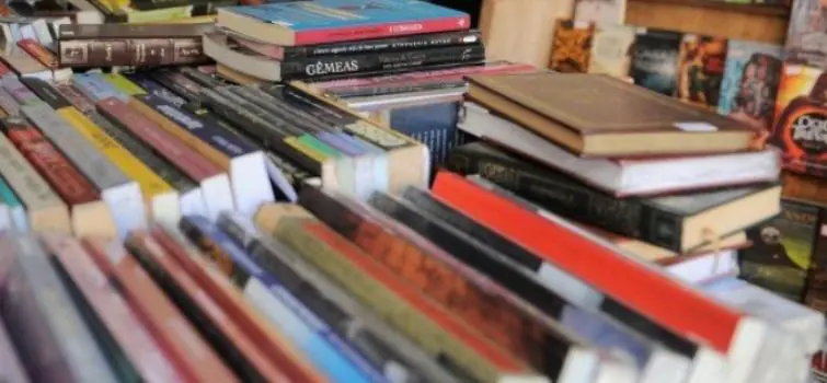 Festa Literária acontece em Araújos no fim de semana