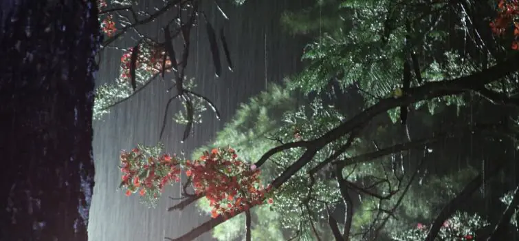 Chuva passageira e céu variado devem marcar o domingo em Divinópolis
