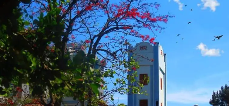 Domingo de muita dança no Teatro Gravatá