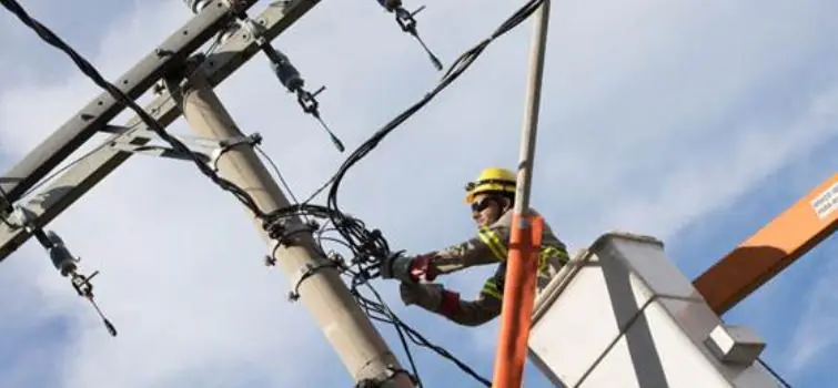 Cemig realiza limpeza da rede elétrica para evitar interrupções