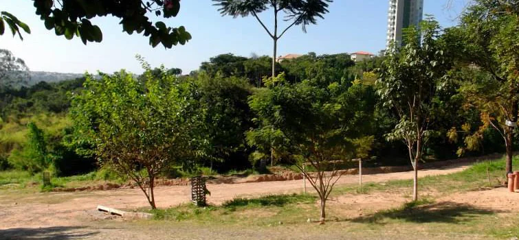 Comunidade se une e protege nascente
