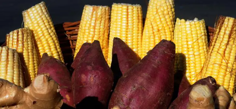 Itens para festas juninas estão com preços menores