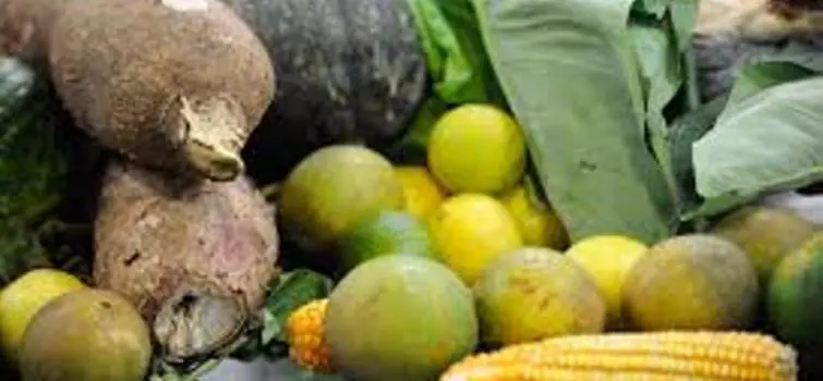 Atividades da Semana de Segurança Alimentar começam ser preparadas em Divinópolis