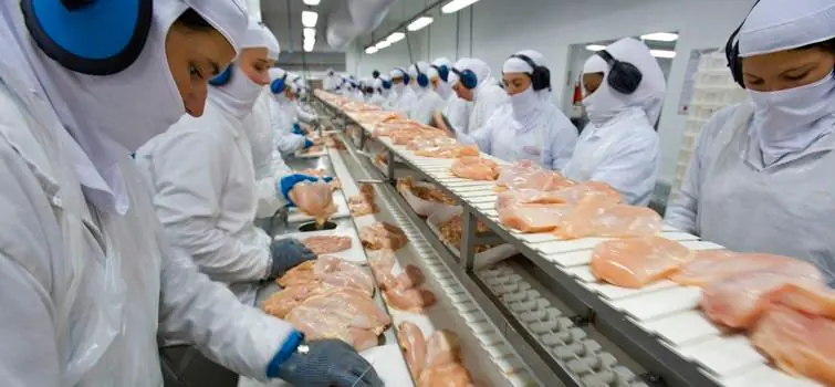 Indústria de alimentos abre mil vagas em 6 meses