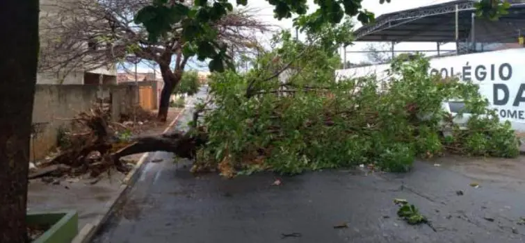 Chuva deixa rastro de destruição em Nova Serrana