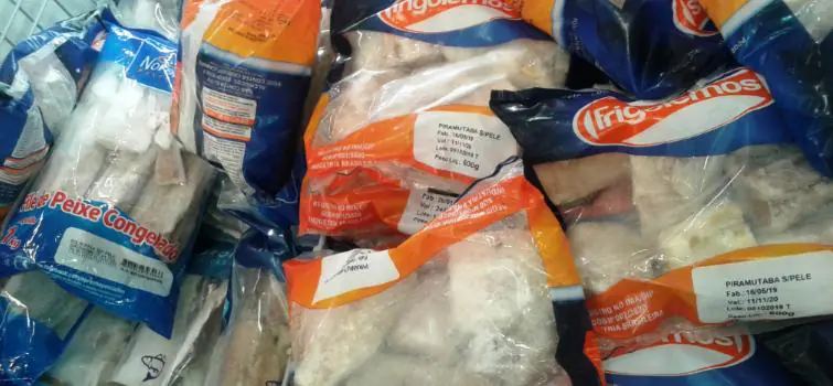 Pescado apresenta bons preços