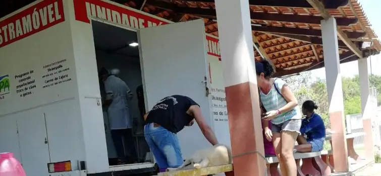 Agendamentos para castrações de animais começam no Buritis
