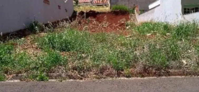 Aplicativo disponibiliza denúncia de lotes vagos sem limpeza em Divinópolis