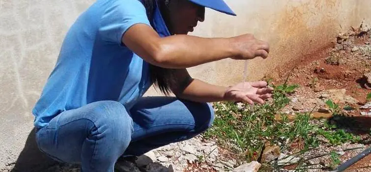52% dos focos de dengue na região Central de Divinópolis estão nos ralos