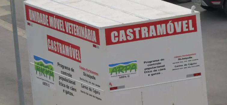 Inscrições para castração de cães e gatos começam no Bom Pastor