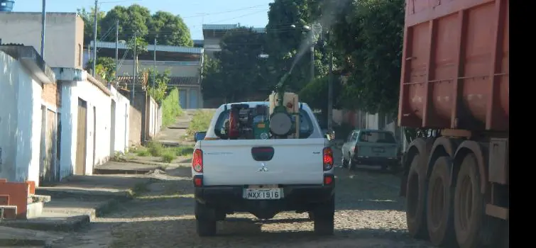 Cidade fica 5 semanas sem nenhum caso confirmado de dengue