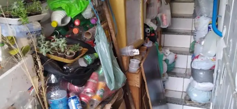 Divinópolis tem baixa incidência de dengue