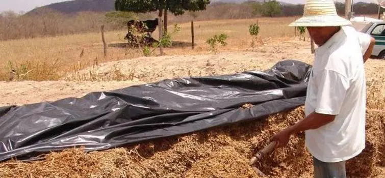 Produtores rurais devem adotar hábitos de prevenção contra o coronavírus