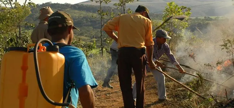 Queima controlada na agricultura tem novas regras