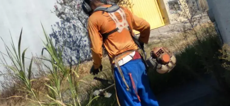 Escolas municipais recebem limpeza em Divinópolis