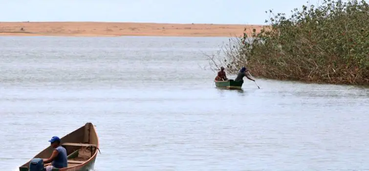 Mariana: pesquisadores encontram metais tóxicos em peixes do Rio Doce
