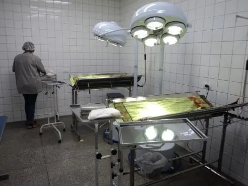 Semusa divulga dados de maio sobre programa de castração