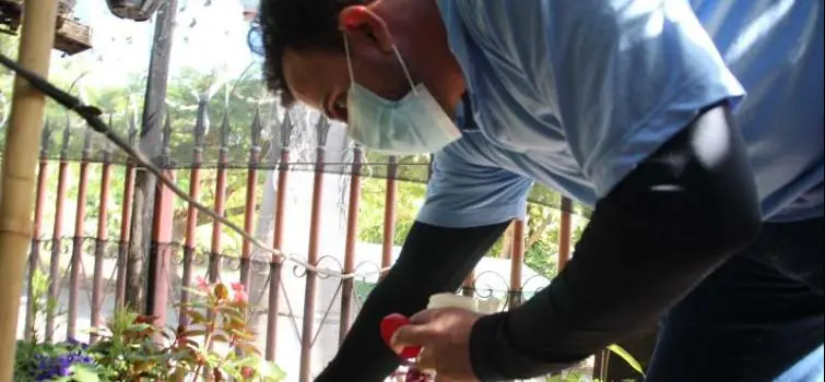 Levantamento aponta alto risco de epidemia de dengue