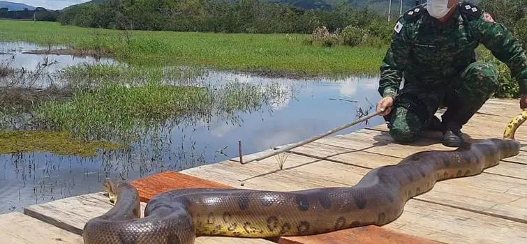 Minas Gerais reforça prevenção e combate aos crimes ambientais