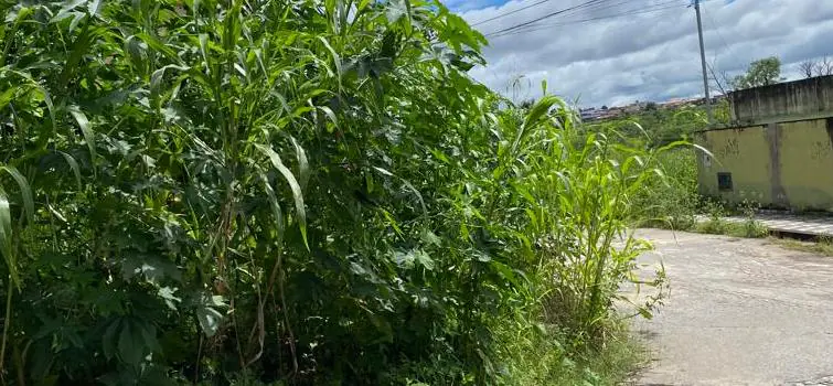 Operação Lote Sujo reforça combate à dengue em Divinópolis