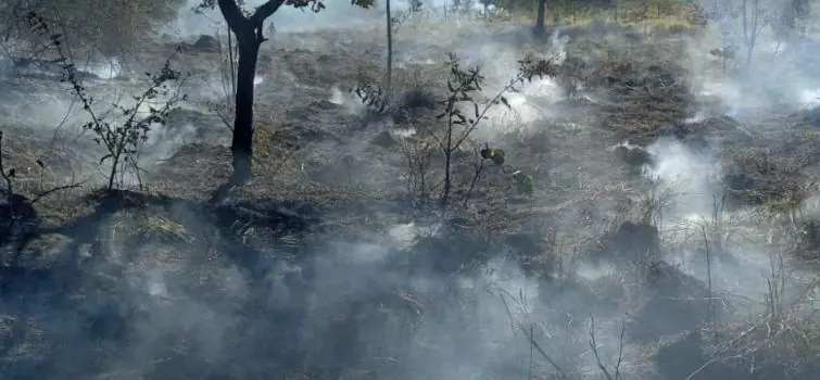 Corpo de Bombeiros de Formiga combate incêndio em pastagem