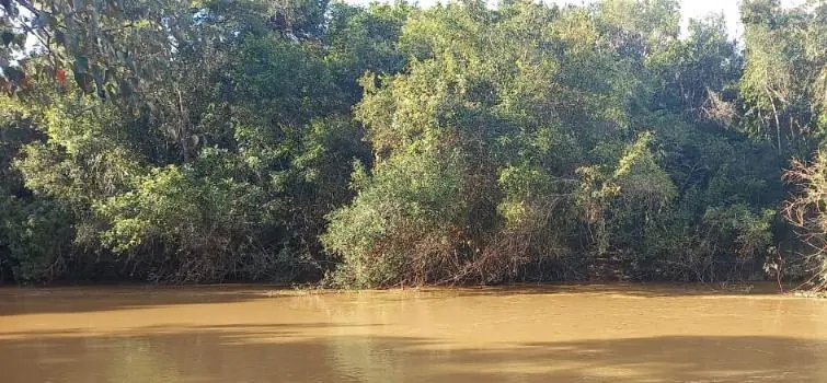 Afogamento: Criança de 4 anos está desaparecida em Divinópolis