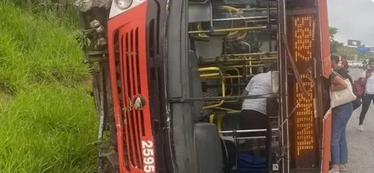 Inseto faz motorista perder o controle da direção e tombar ônibus na MG-10