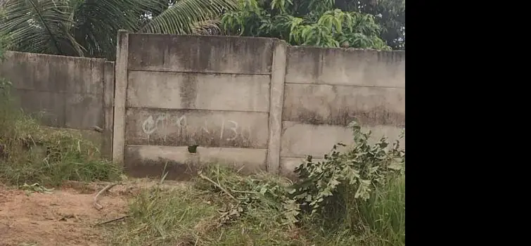 Moradores voltam a reclamar de falta de água e vazamentos