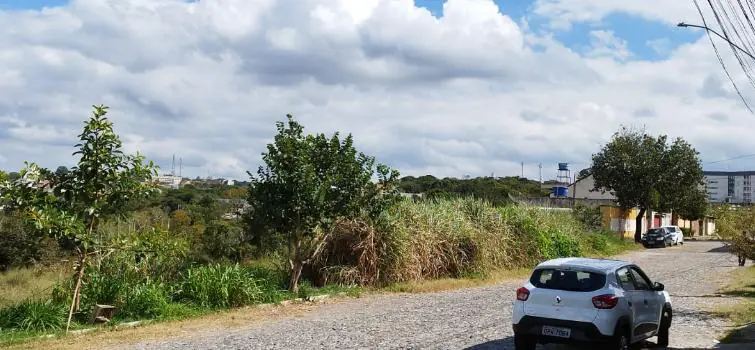 Moradores reclamam de lotes sujos