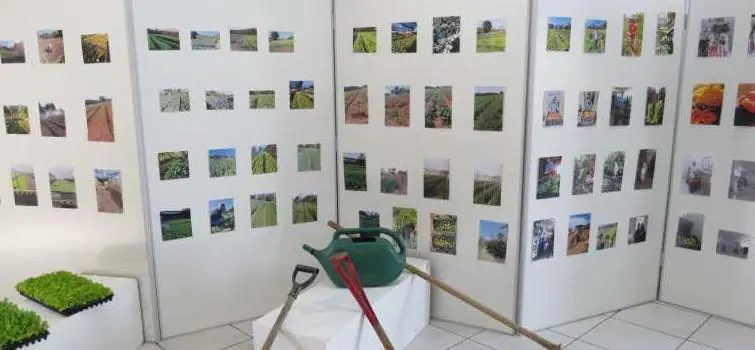 Inaugurada exposição em  valorização à agricultura