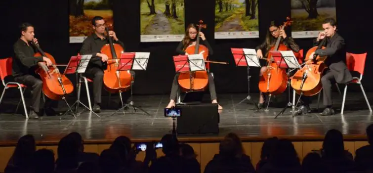 Dando corda tem vagas para aulas de violino e violoncelo