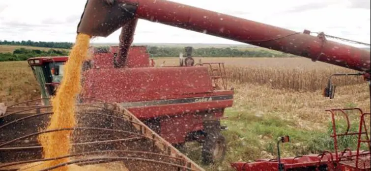 Caixa reduz taxa de juros do crédito rural para médios produtores