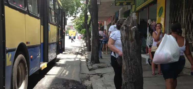Árvores cedem lugar ao concreto em Divinópolis