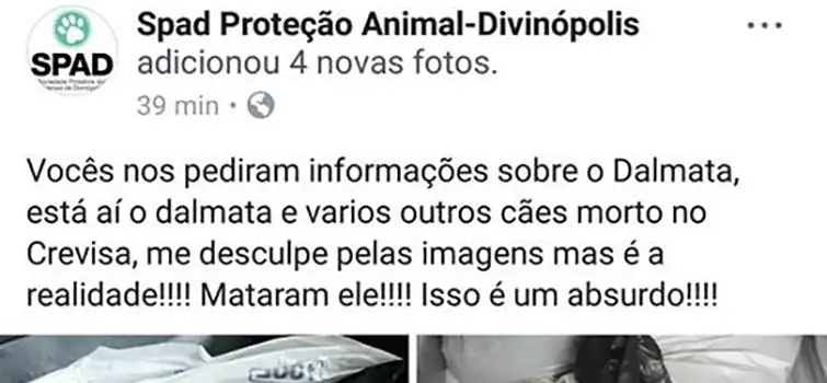 BO sobre invasão ao Crevisa  inclui acesso a documentos