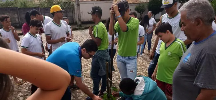 Estudantes plantam 50 mudas em escola de Divinópolis