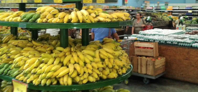 Hortigranjeiros são boa opção