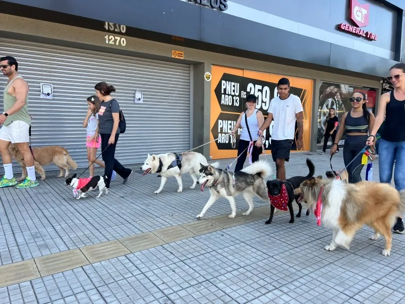 2ª Cãominhada reúne 266 participantes