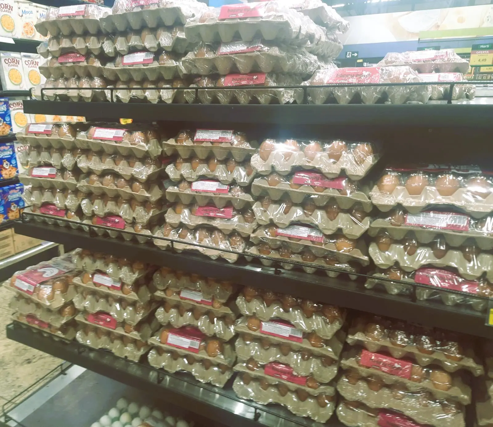Preço dos ovos disparam e espanta consumidores