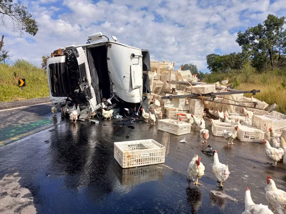 Colisão entre carretas de refrigerantes e galinhas deixa duas pessoas em estado grave