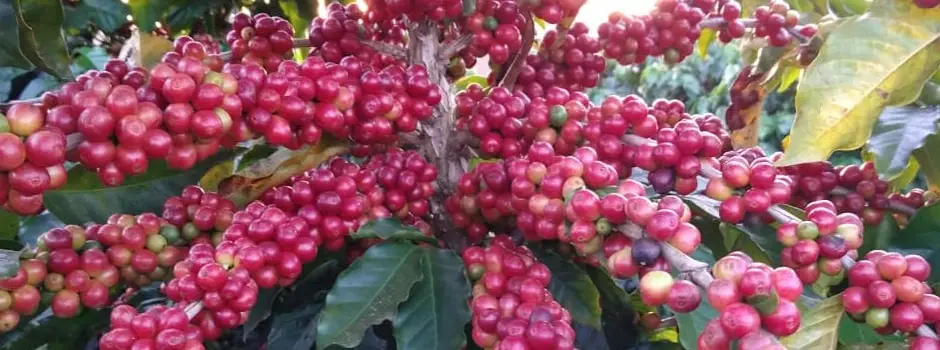 Com superávit de US$ 2,4 bi em março, balança comercial de Minas já acumula US$ 9,9 bi