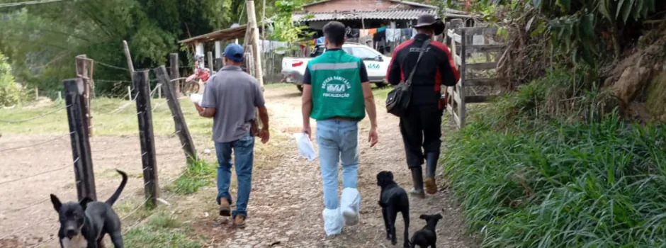 Com participação de coordenadorias da região, IMA conclui inspeção sanitária de gripe aviária
