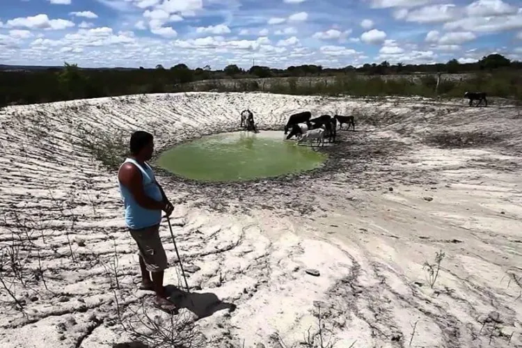 Agro sofre prejuízos de R$ 875 mi 