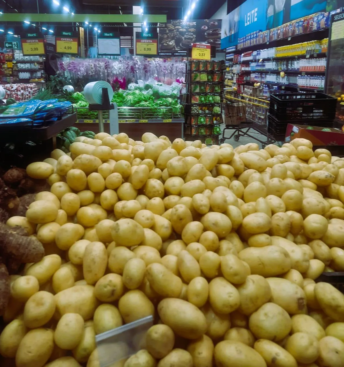 Preços das hortaliças ficam mais baratos em Divinópolis