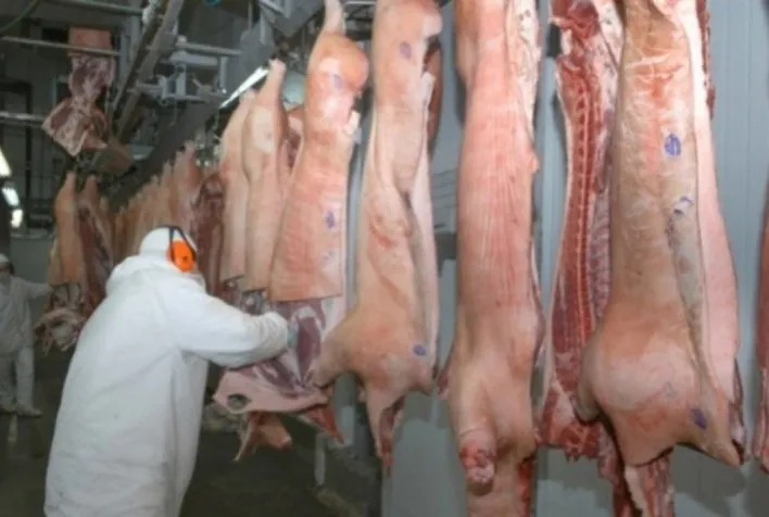 Exportações de carne suína batem recorde