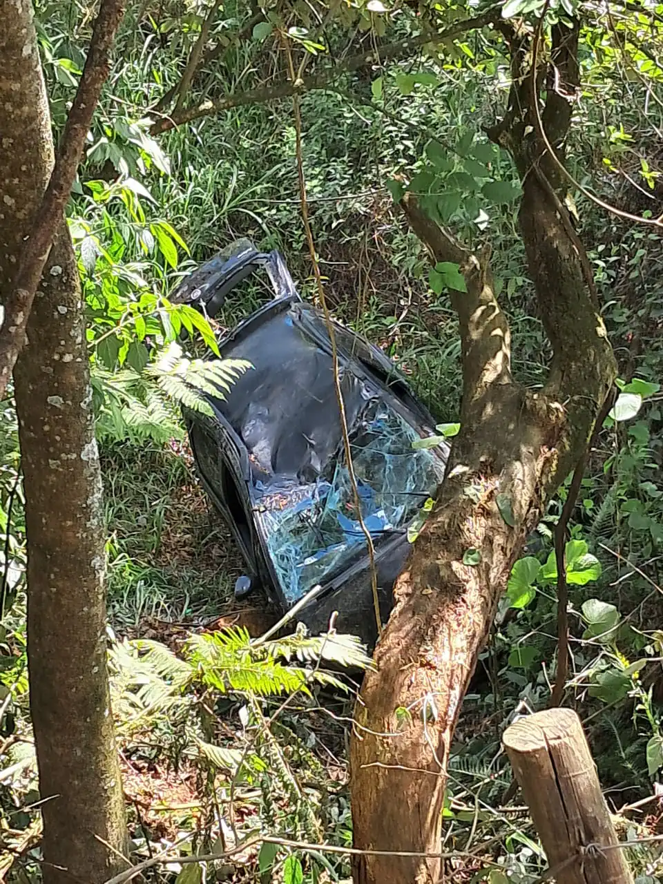 Mulher morre ao cair com veículo em abismo na MG-164, em Itapecerica