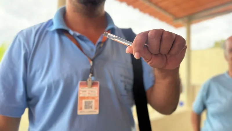 Mosquito da dengue se prolifera dentro das casas e acende alerta em Divinópolis