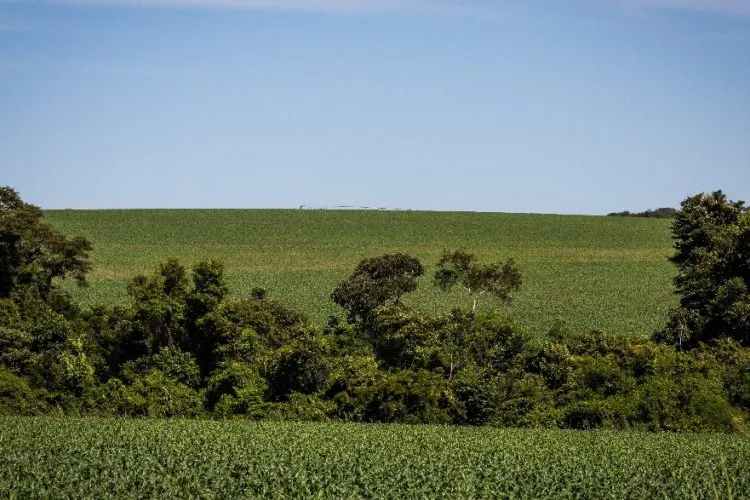 Funrural, qual a melhor opção? 