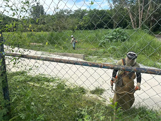 Parque da Ilha recebe cuidados e novos investimentos