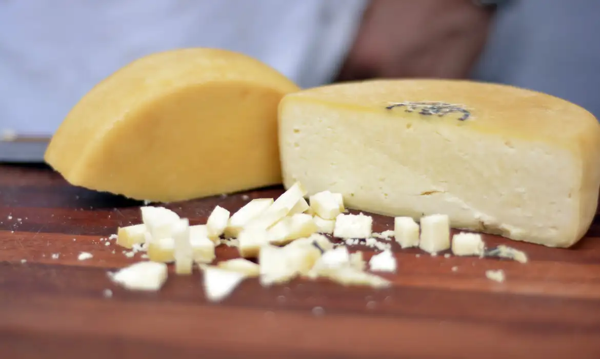 Dia Mundial do Queijo: MG registra produção de 43 mil toneladas em 2025